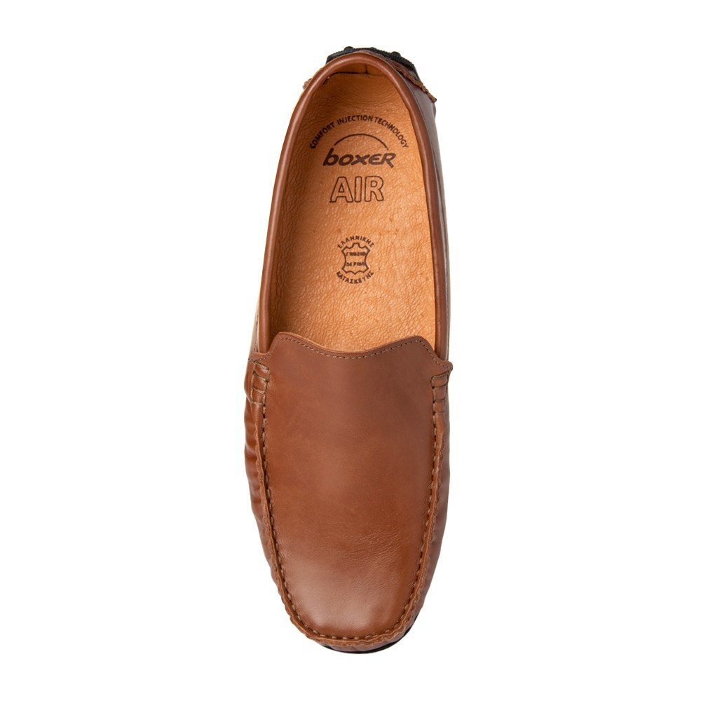 Boxer 21249 (ταμπα) driving moccasins