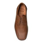 Boxer 10055 (ταμπα) ανδρικά derby