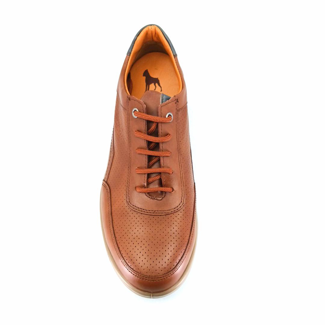Boxer 16520 (ταμπα) ανδρικά δετά