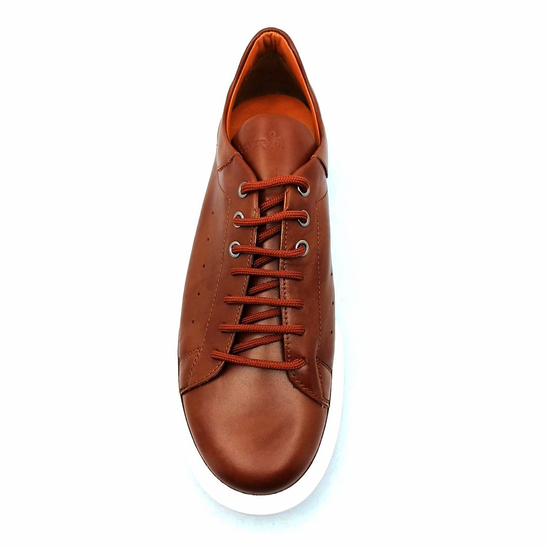 Boxer 21312 (ταμπα) ανδρικά sneakers