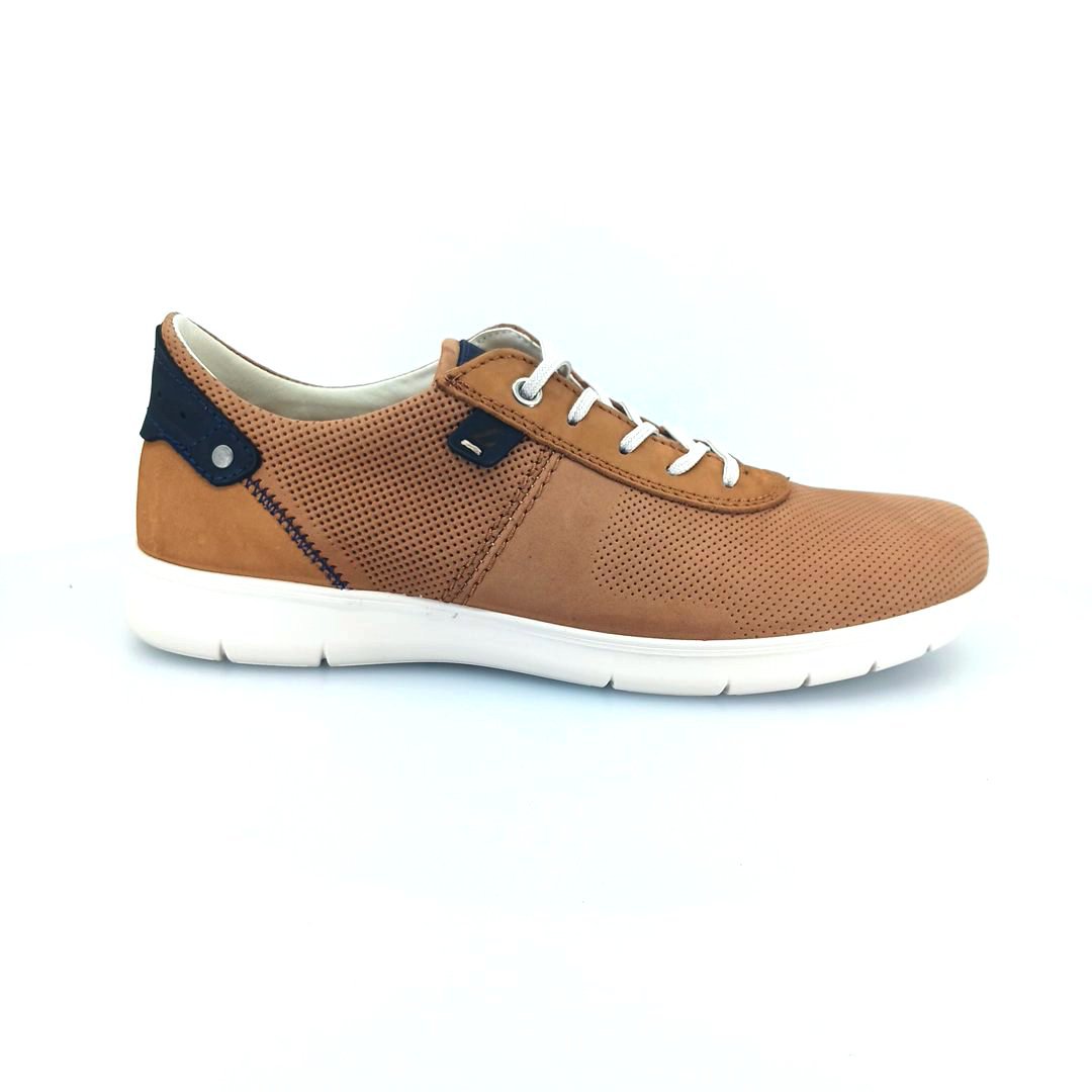 Luisetti 33809 (ταμπά δέρμα) ανδρικά δετά